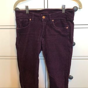 H&M Purple Corduroy Pants